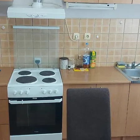 Rasevic Apartment *