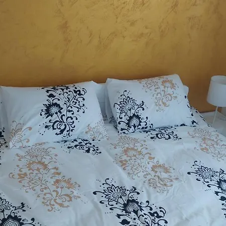 Rasevic Apartment